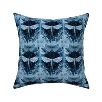 Ernst Haeckel Tineida Moths Blue