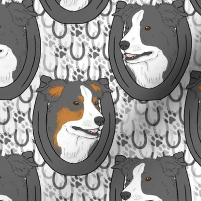 English Shepherd horseshoe portraits B