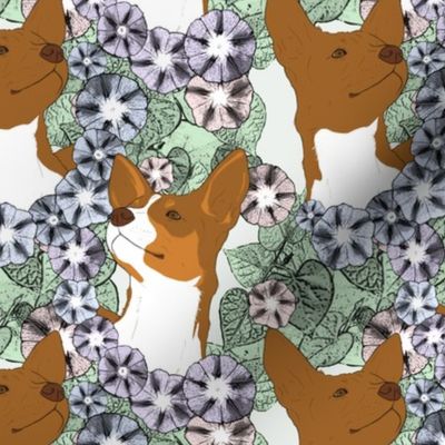 Floral Rat terrier portraits chocolate