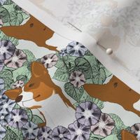 Small Floral Rat terrier portraits chocolate