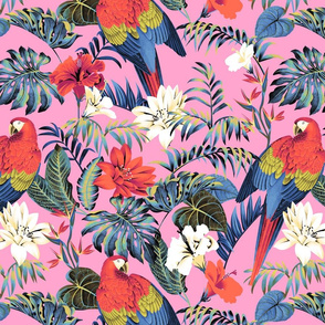 Paradise Parrot - Pink