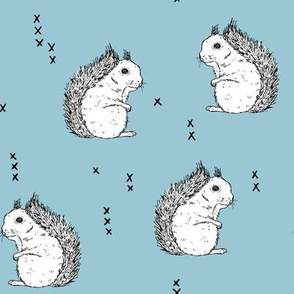 Squirrels_lightblue