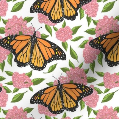 Monarch and milkweed 6x6