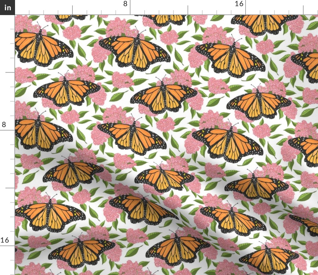 Monarch and milkweed 6x6