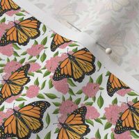 Monarch and milkweed 2x2