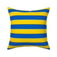 striped flag of ukraine | medium