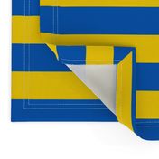 striped flag of ukraine | medium