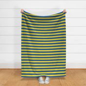 striped flag of ukraine | medium