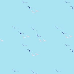 Seagulls - Sky