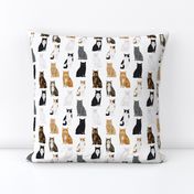 Cats fabric pattern cat breeds 