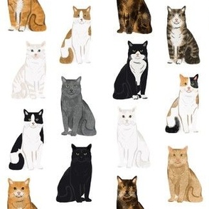 Cats fabric pattern cat breeds 