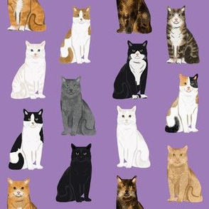Cats fabric pattern cat breeds 7