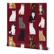 Cats fabric pattern cat breeds 8