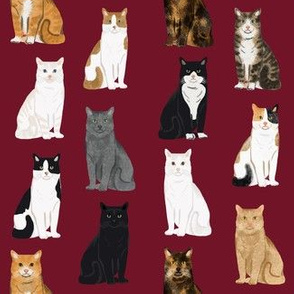 Cats fabric pattern cat breeds 8
