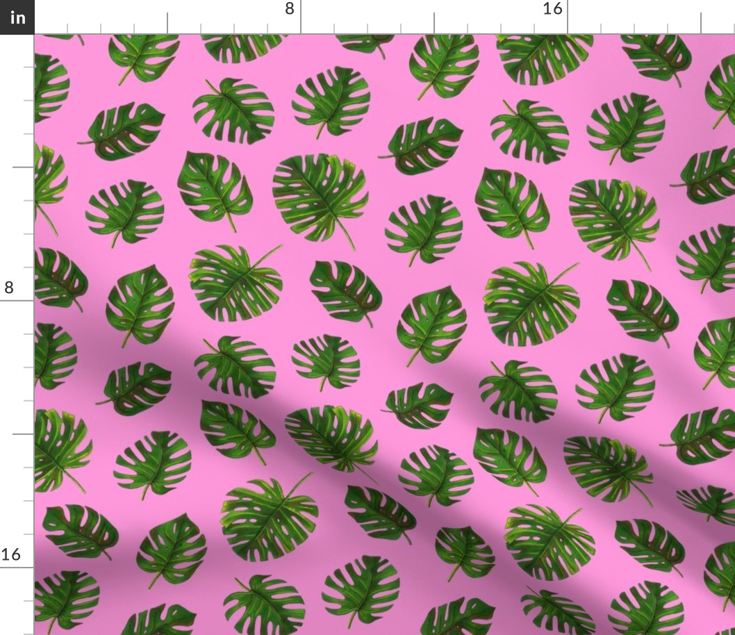 monstera on pink background