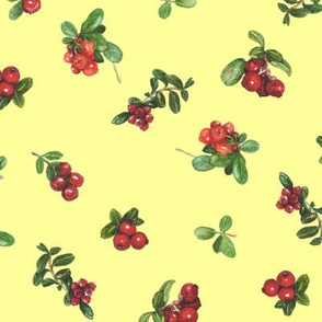 cranberries_yellow background