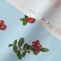 cranberries_light blue background