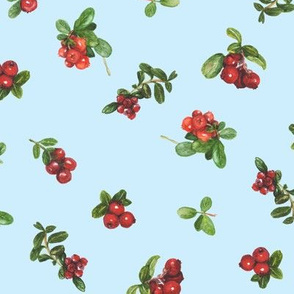 cranberries_light blue background