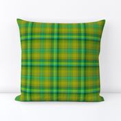 GREEN SPRING GRASS large PLAID TARTAN