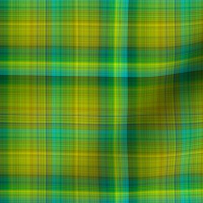 GREEN SPRING GRASS large PLAID TARTAN