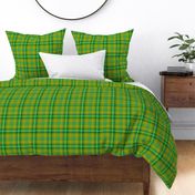 GREEN SPRING GRASS large PLAID TARTAN