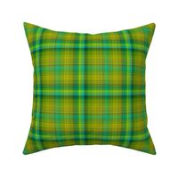 GREEN SPRING GRASS large PLAID TARTAN