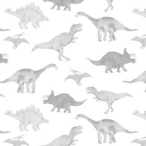 Dinos grey