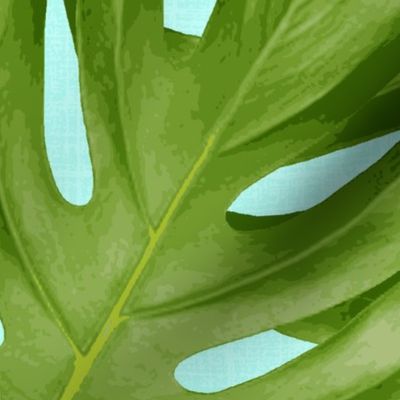 monstera_bright