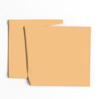 Dusky Apricot Solid Colour