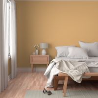 Dusky Apricot Solid Colour