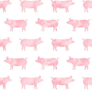 just pigs - watercolor pink