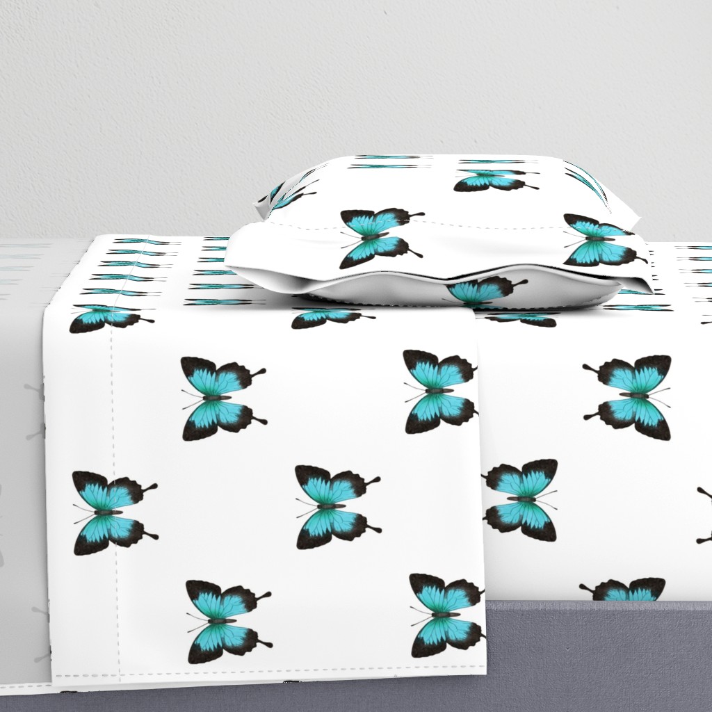 Ulysses Butterfly simple repeat on white - large scale