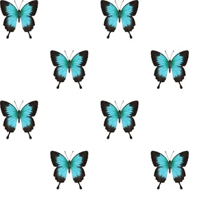 Ulysses Butterfly simple repeat on white - large scale