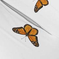 Monarch Butterfly simple repeat on white - large scale