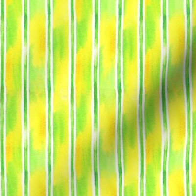 Watercolor Lemon Stripe