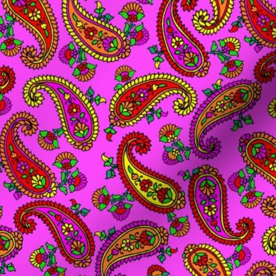 Paisley Floral on Pink