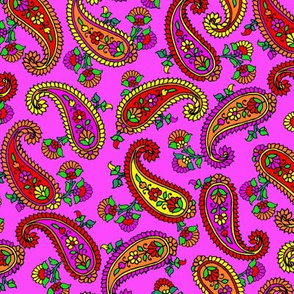 Paisley Floral on Pink