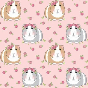 medium guinea-pigs-with-roses