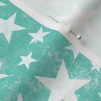 Grunge Distressed Stars White on Mint green