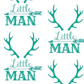 Little Man Arrow & Horns Teal