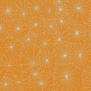 Spiderweb_on_Autumn_Orange_D88724