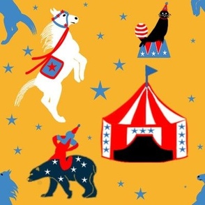 Circus of the Past on a Starry Night