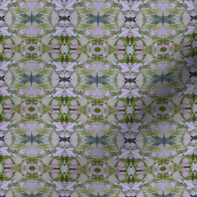 DSCN2793_Pale_Hydrangea_Pattern