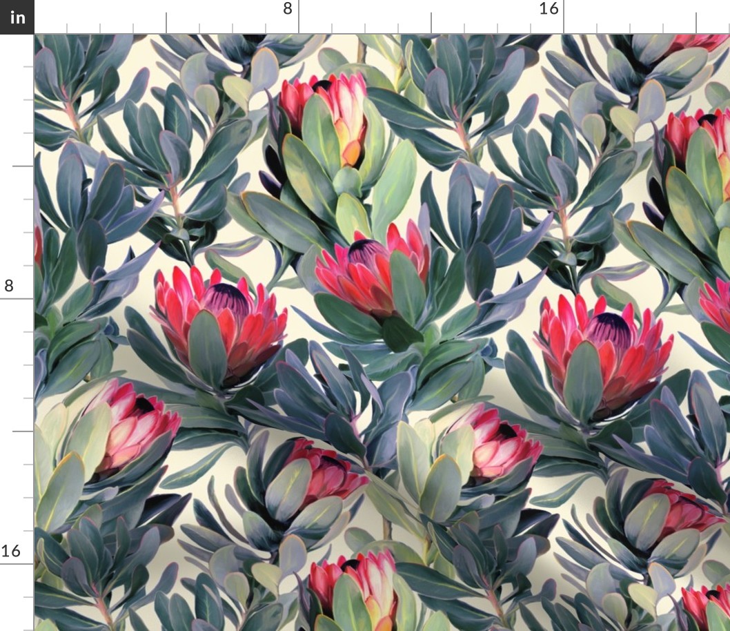 Painted Protea Floral - soft red version2