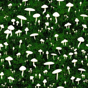 Mushrooms Ground