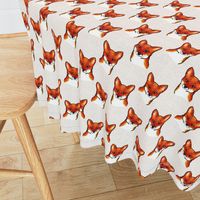 Bold Foxes Faces on Linen Look Background