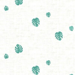 Monstera  Texture