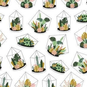 Terrariums