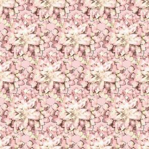 chrysanthemum soft pink mosaic