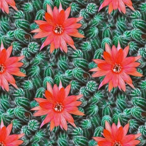 cacti - painting effect